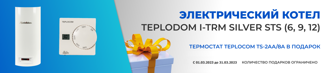 Бастион термостат в подарок