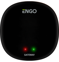Универсальный интернет шлюз Zigbee для ENGO Smart