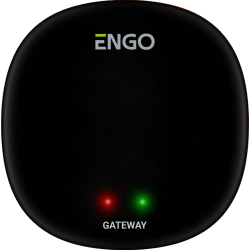 Универсальный интернет шлюз Zigbee для ENGO Smart