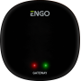 Универсальный интернет шлюз Zigbee для ENGO Smart
