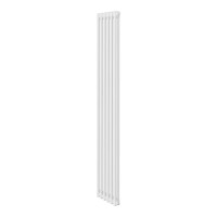 Дизайн-радиатор Royal Thermo Insignia C2180 - 06 секц. белый RAL9016