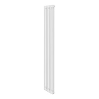 Дизайн-радиатор Royal Thermo Insignia VC2180 - 06 секц. белый RAL9016
