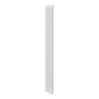Дизайн-радиатор Royal Thermo Insignia VC3180 - 04 секц. белый RAL9016