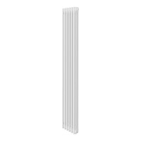 Дизайн-радиатор Royal Thermo Insignia VC3180 - 06 секц. белый RAL9016