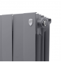 Дизайн-радиатор бимет. Royal Thermo PianoForte Silver Satin 500 x 100- 12 секц.