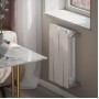 Дизайн-радиатор бимет. Royal Thermo PianoForte Bianco Traffico 500 x 100 - 4 секц.