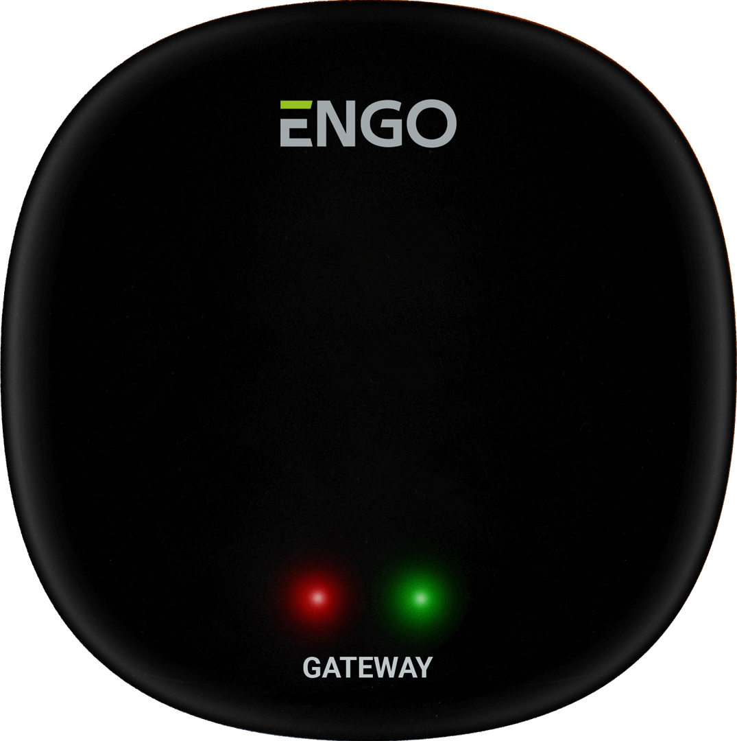Универсальный интернет шлюз Zigbee для ENGO Smart
